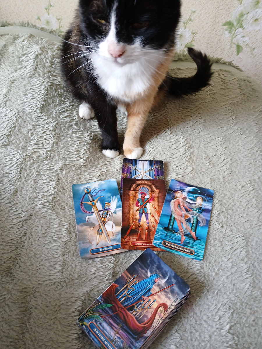 Фото автора. 