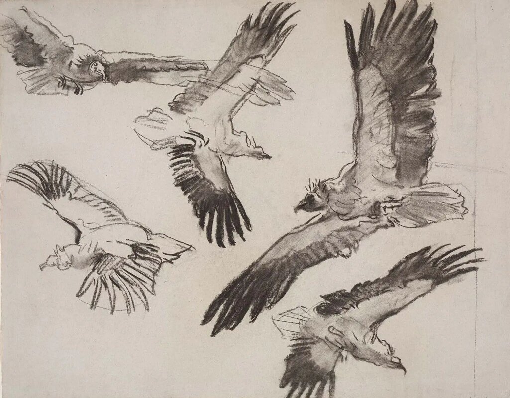     Джон Сингер Сарджент. Грифы. Эскиз. 1916