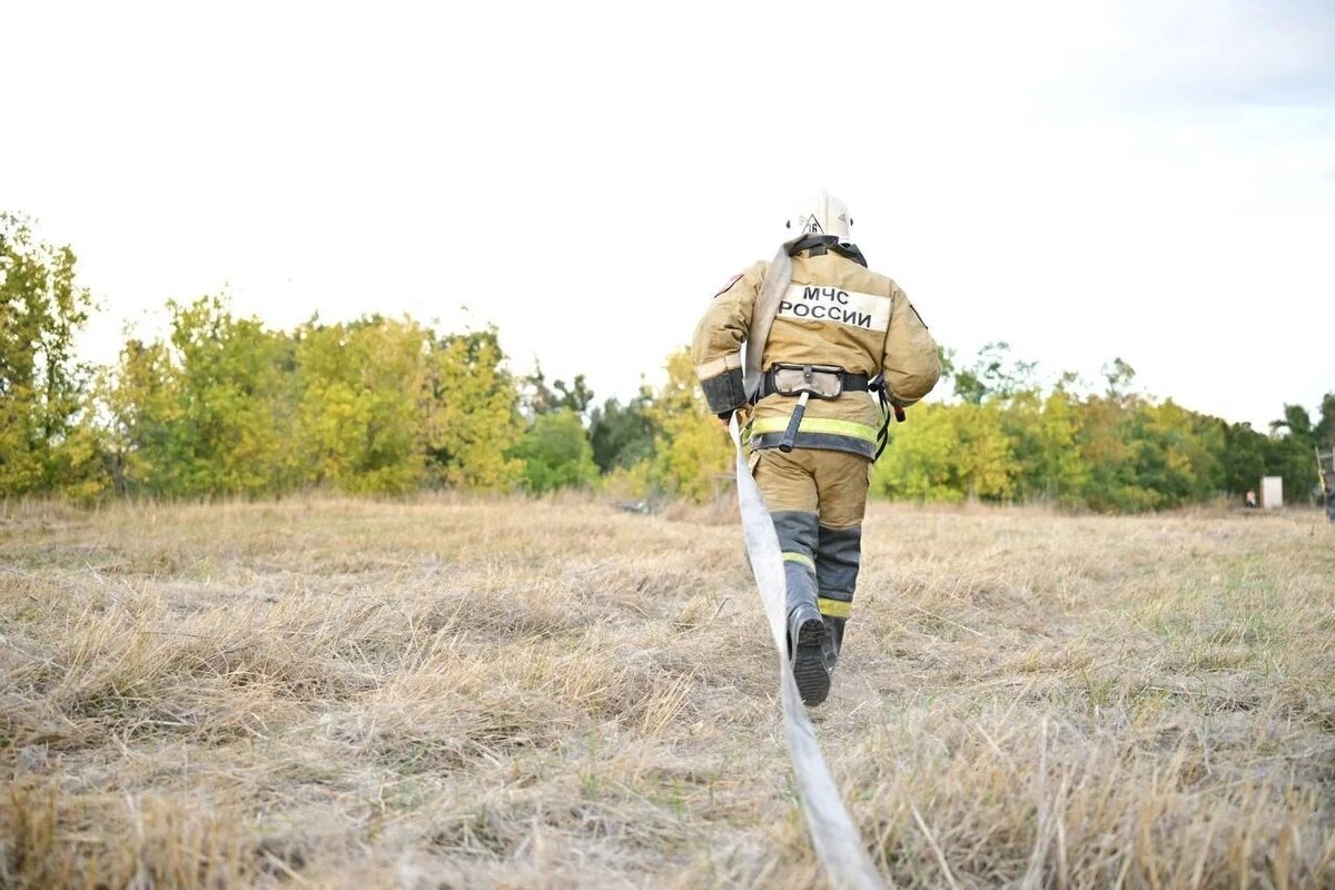    Фото: МЧС Ростовской области