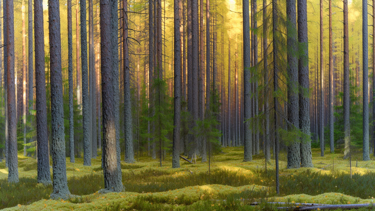    Фото - slanews.ru Никита Филлипов