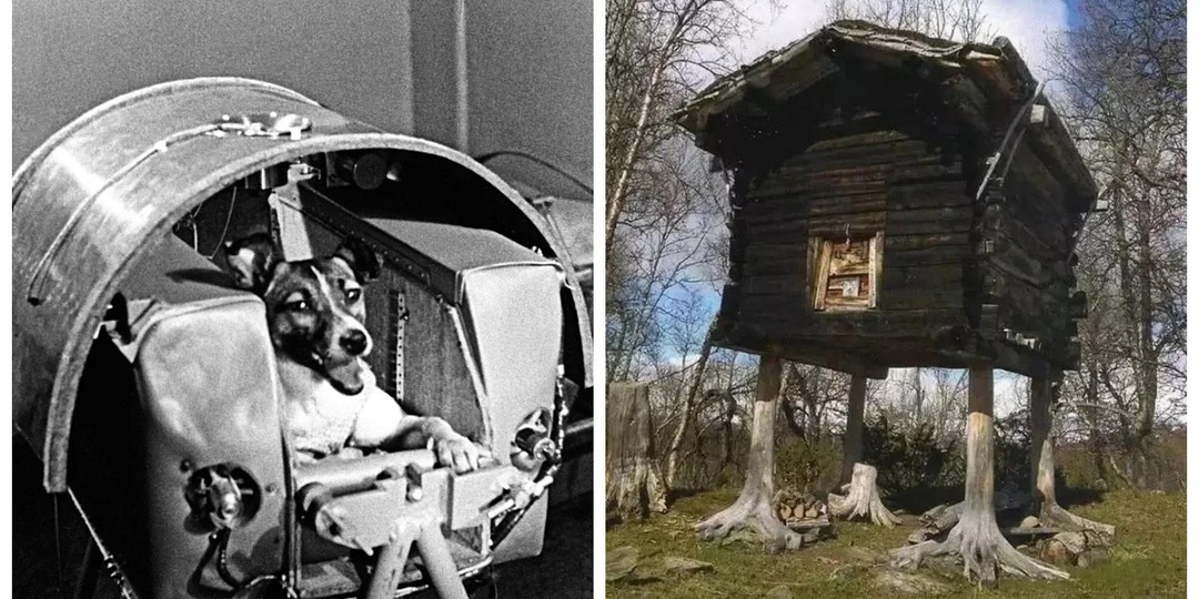 17 исторических кадров, которые вы могли пропустить