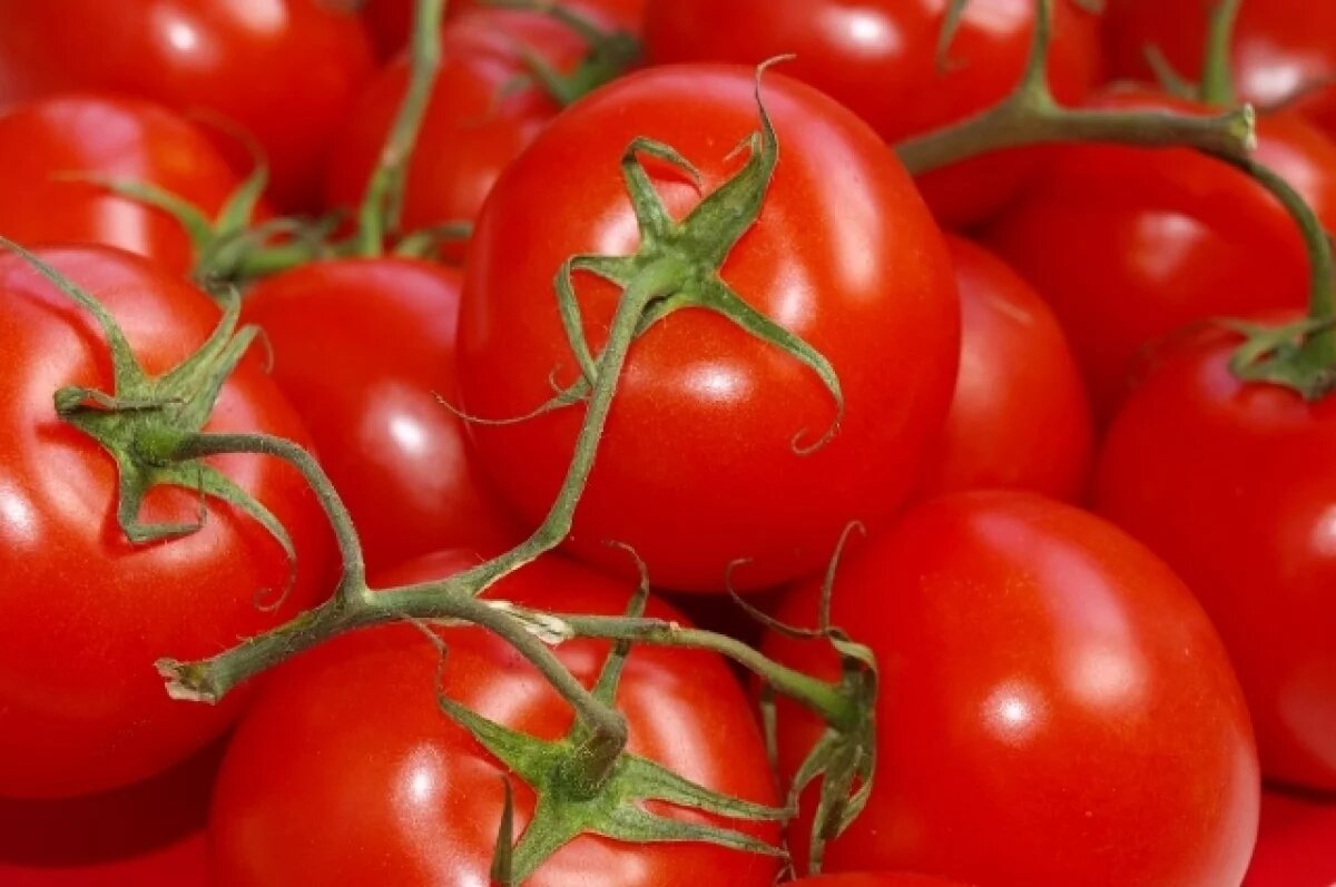    В Калининград не допустили почти 24 тонны зараженных томатов