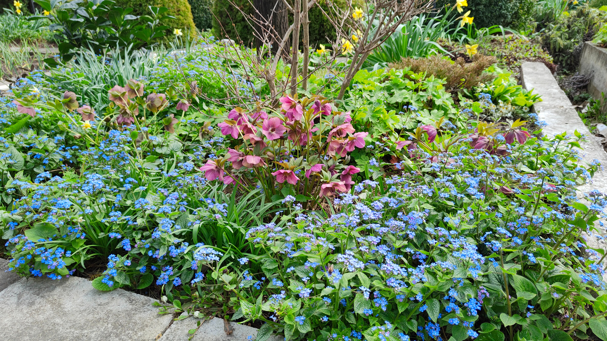 7 апреля 2026 г.