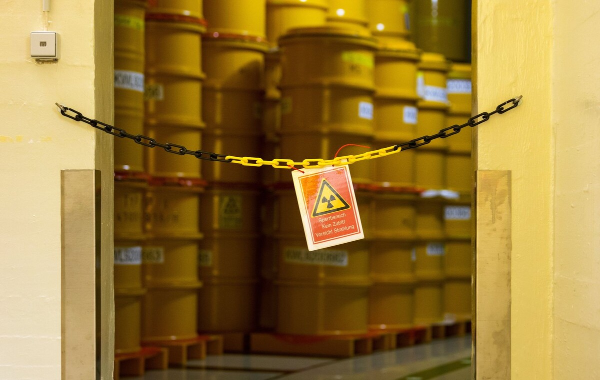     / Источник: © Global Look Press