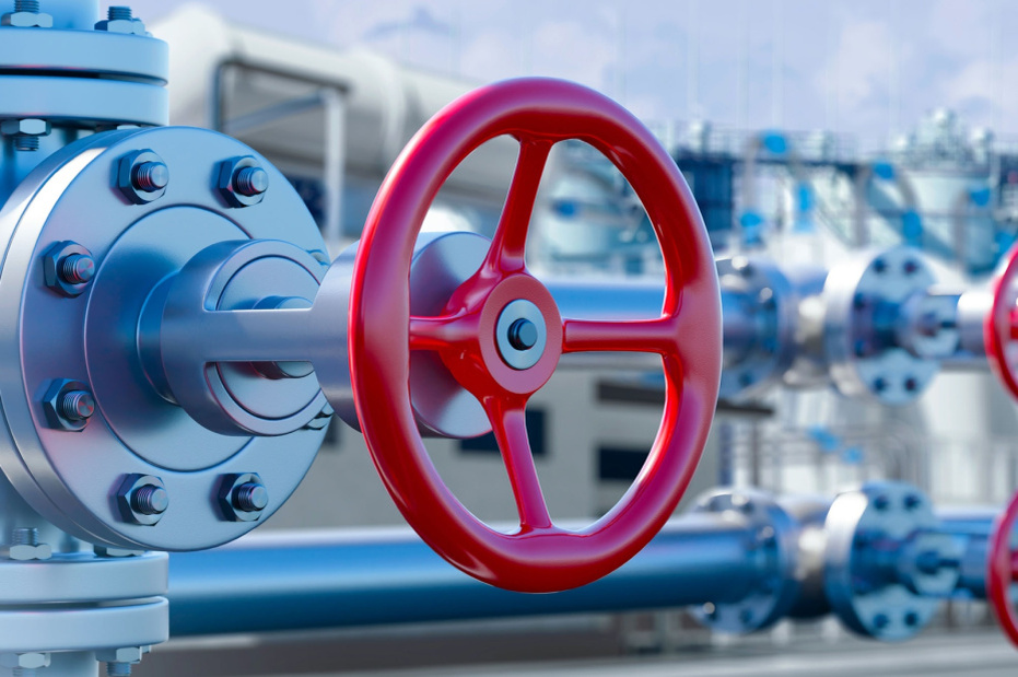    Shutterstock/FOTODOM