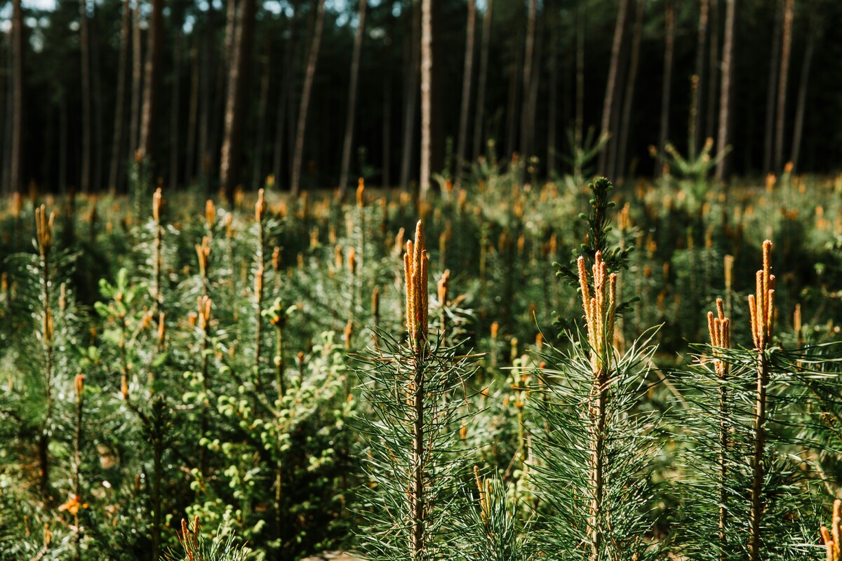  © Unsplash, Miriam Krause