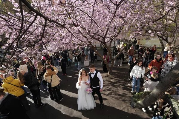 © AP Photo / Dmitri Lovetsky