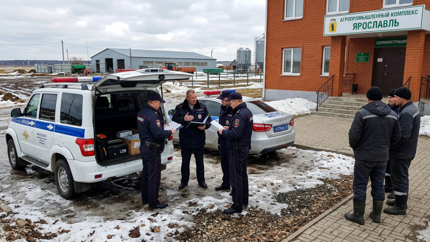    Фото ИИ progorod76.ru