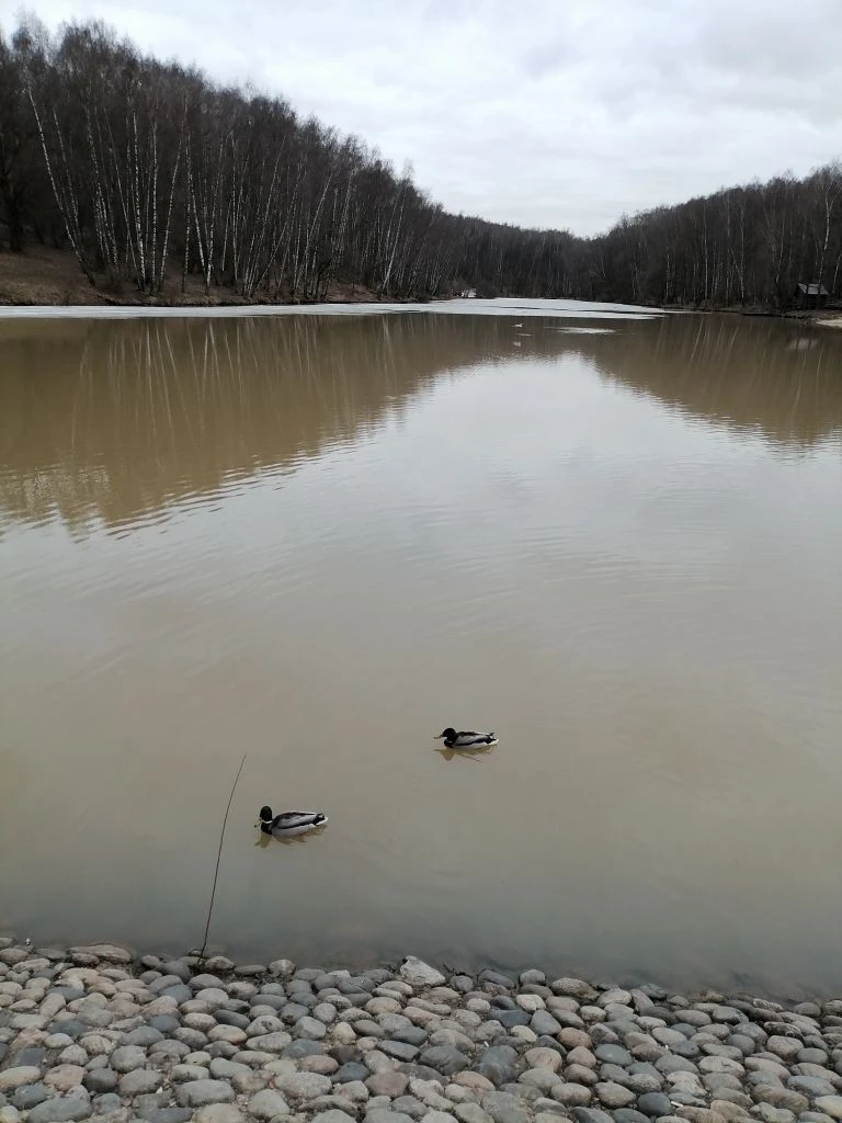 Тропаревский парк. Фото автора