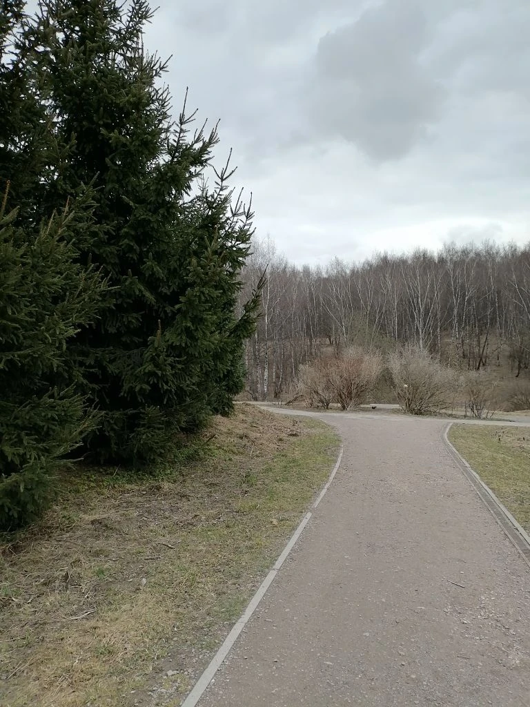 Тропаревский парк .Фото автора.