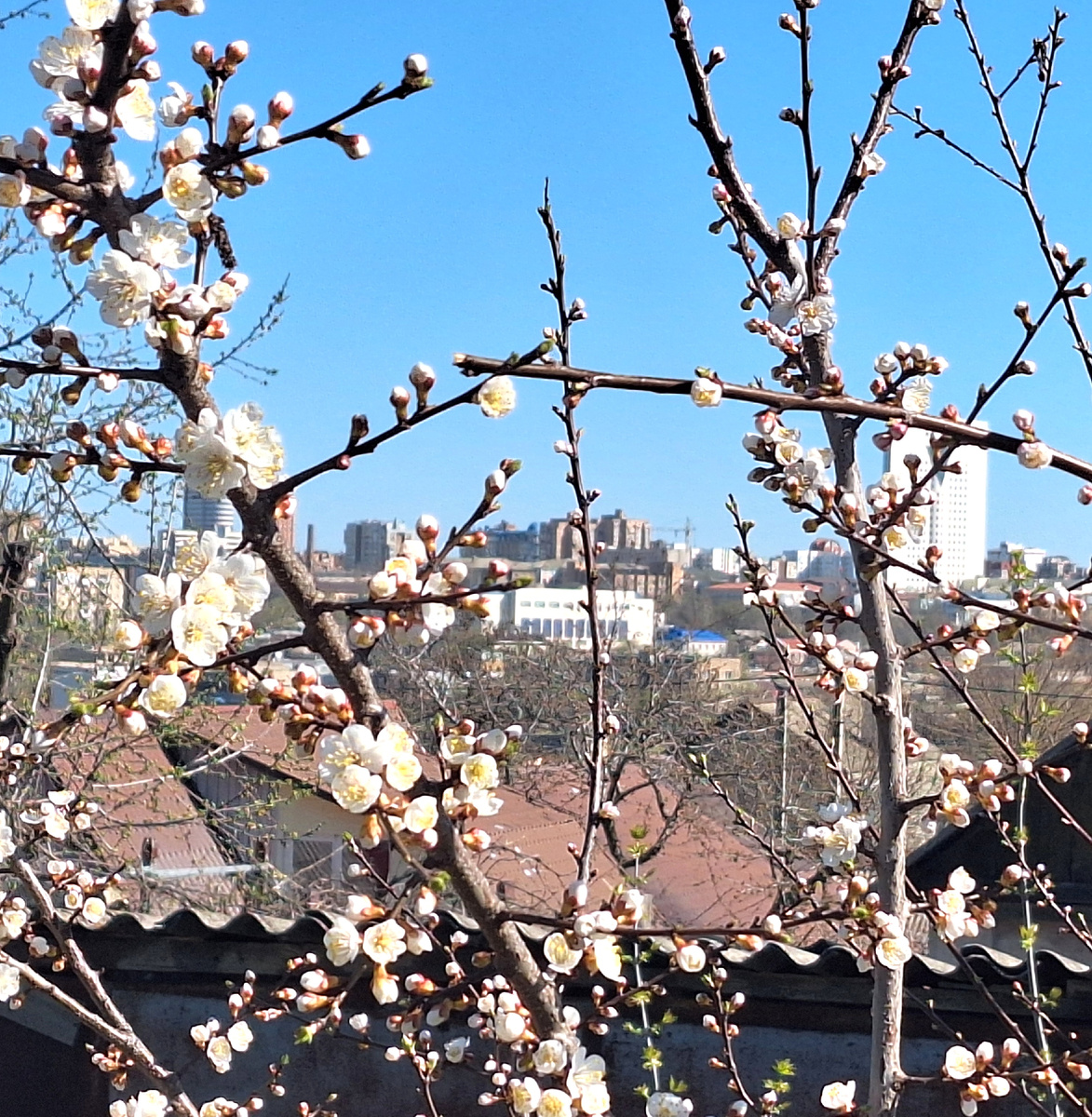 Весеннее небо.Фото автора.