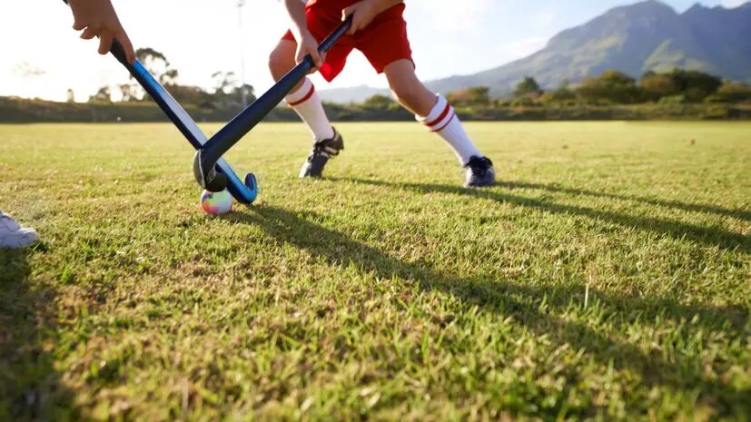    Источник: russian.rt.com Дмитрий Смирнов