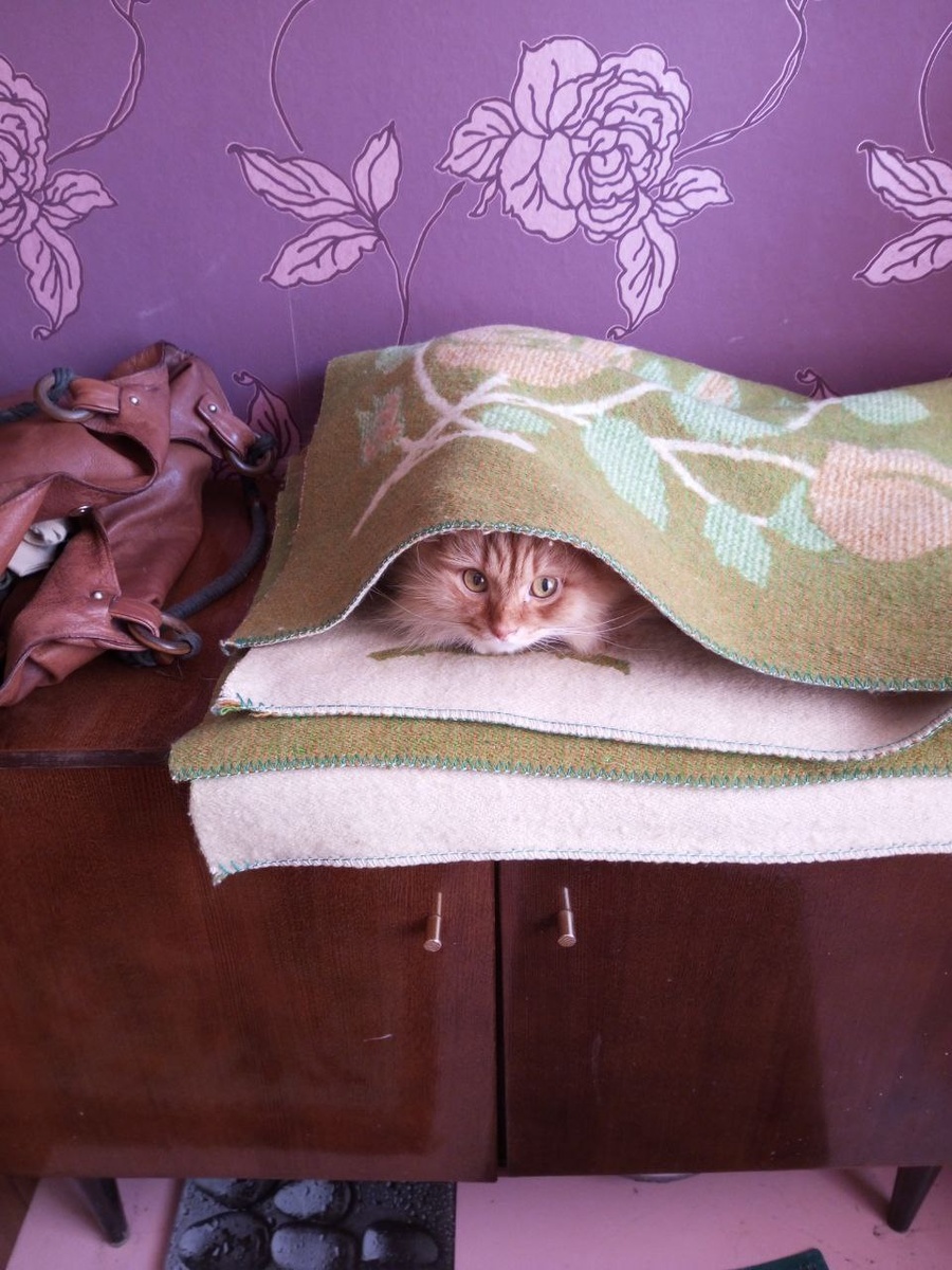 Могу подвинуться!