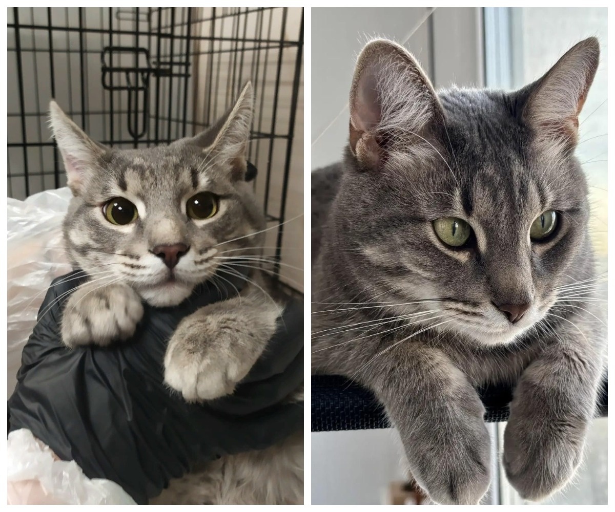 Вейс – выпускник приюта.