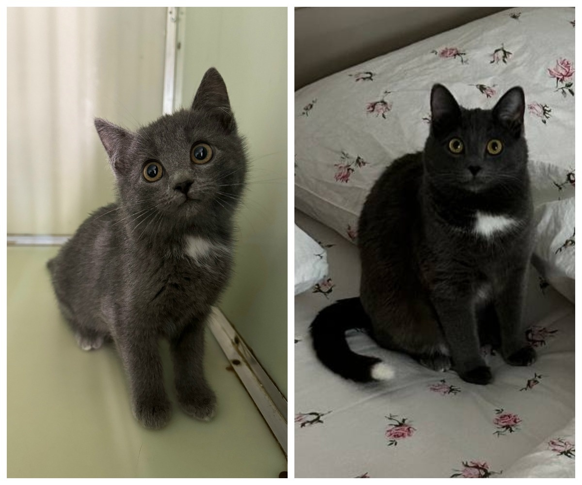 Неон – выпускник приюта.