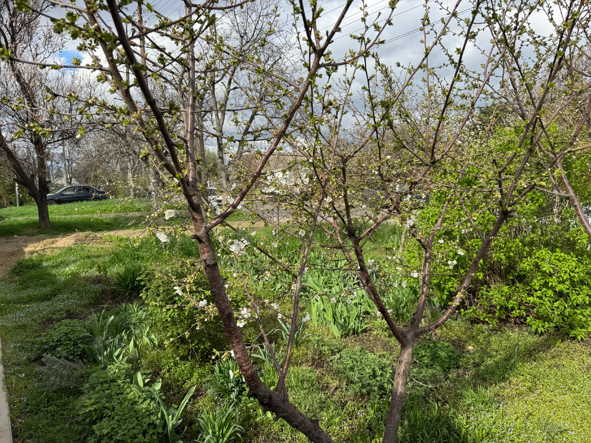 Фото автора