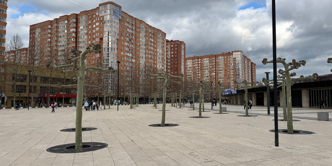 Краснодар - посетили кратко, но ёмко