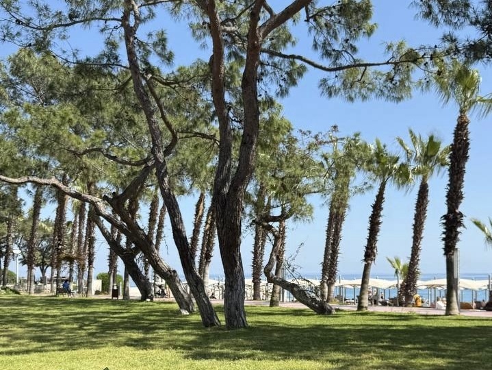 «Муж вообще называет путёвки туда бомжтурами»: почему Akka Antedon 5* в Кемере ломает шаблон даже у скептиков