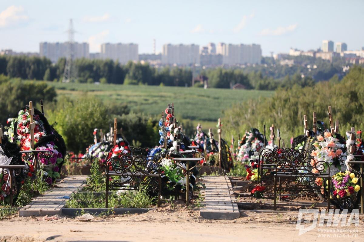 Автор фото: Александр Воложанин