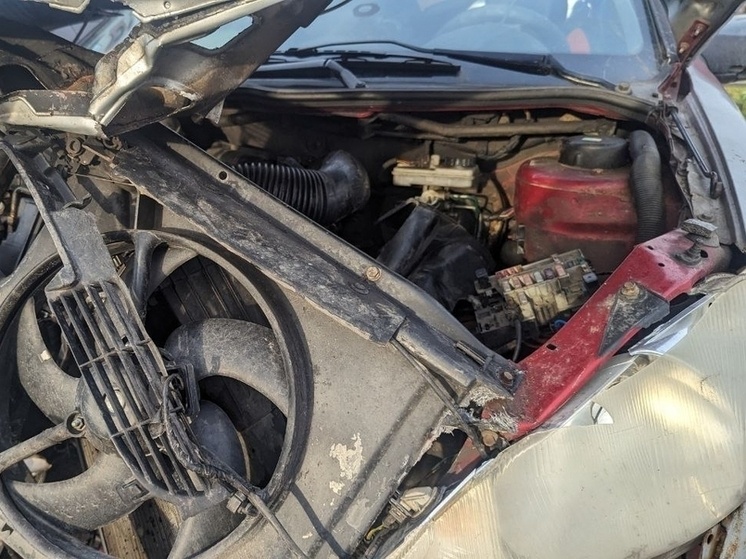     Фото: архив МК в Питере