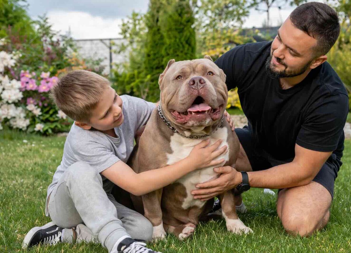 - Судите меня по психике, а не по ширине груди