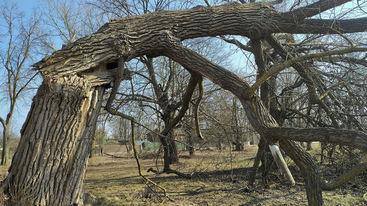    Фото: Victor Lisitsyn/globallookpress.com