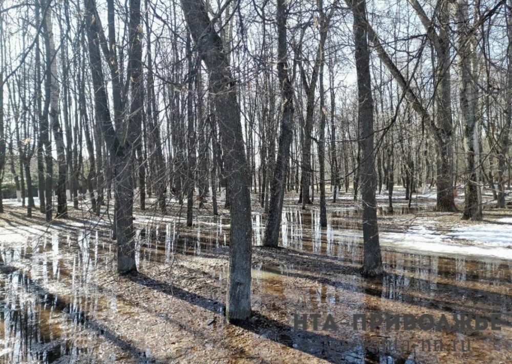    Еще 34 придомовые территорий попали в зону подтопления в Удмуртии за сутки