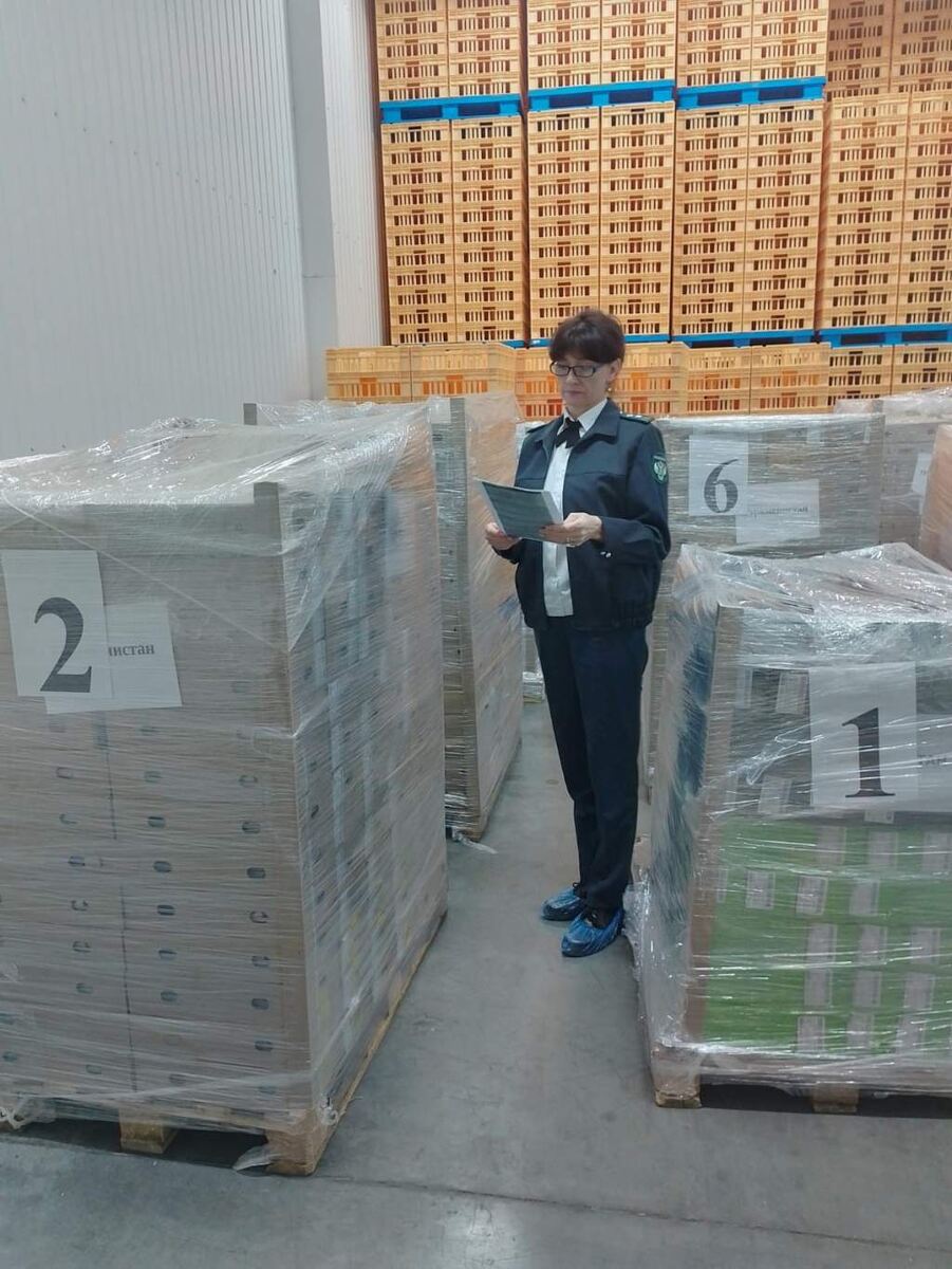    Фото пресс-службы Управления Россельхознадзора по Курской и Орловской областям