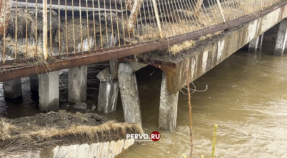 фото читатель www.pevo.ru