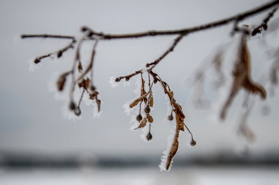    Евгения Новоженина/РИА Новости