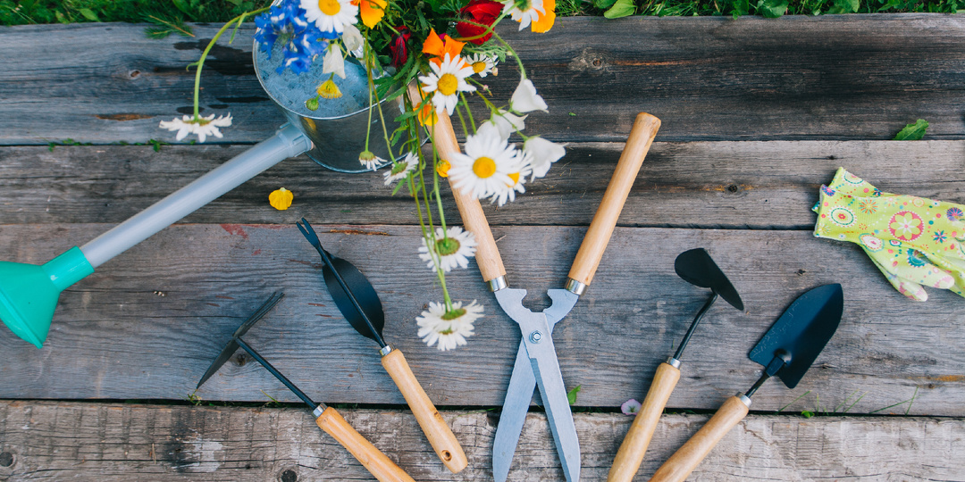 Весенние хлопоты в саду: чек-лист для начинающего садовода