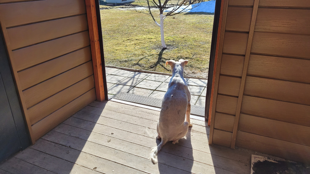 Марсель на страже.