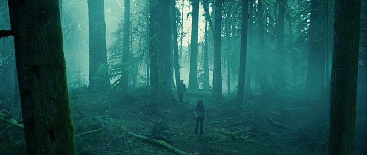 Кадр из фильма "Сумерки" (2008)