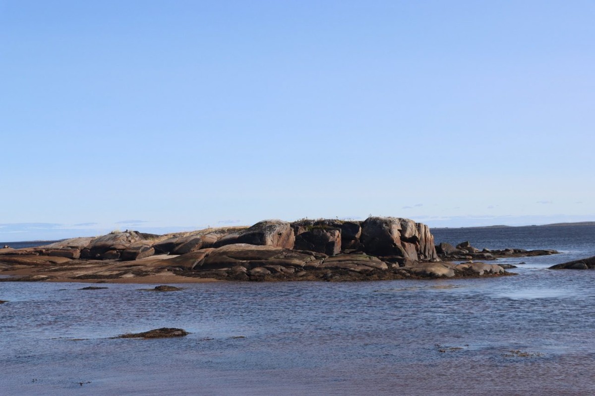    Фото: "Республика" / Сергей Медведев