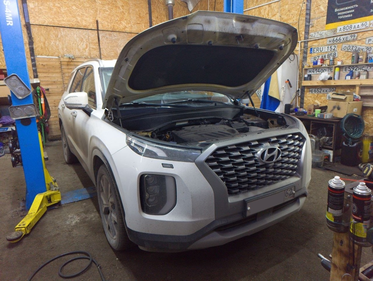 Hyundai Palisade (LX) 2022г 2.2в 200hp — Отключение мочевины AdBlue, клапана EGR, Сажевого фильтра DPF