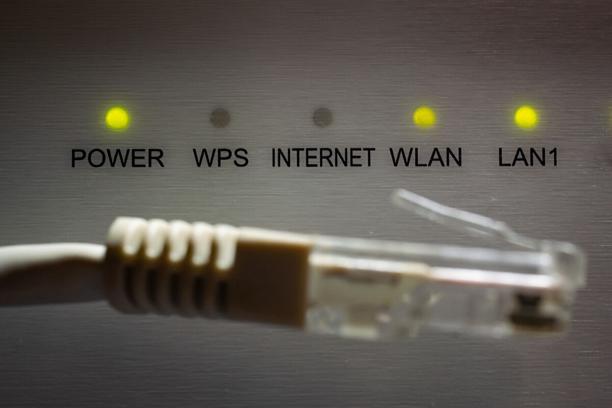     / Источник: © Global Look Press