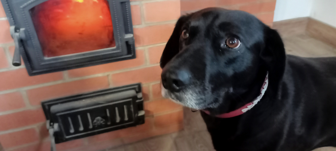 Погодные катаклизмы добрались и до юга