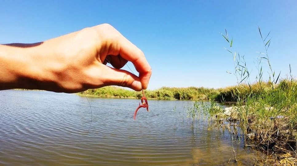 Прятать или не прятать