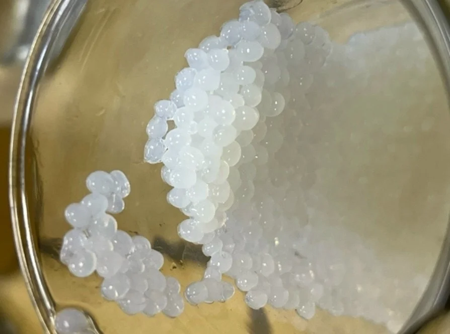 Источник: Пресс-служба Пермского Политеха