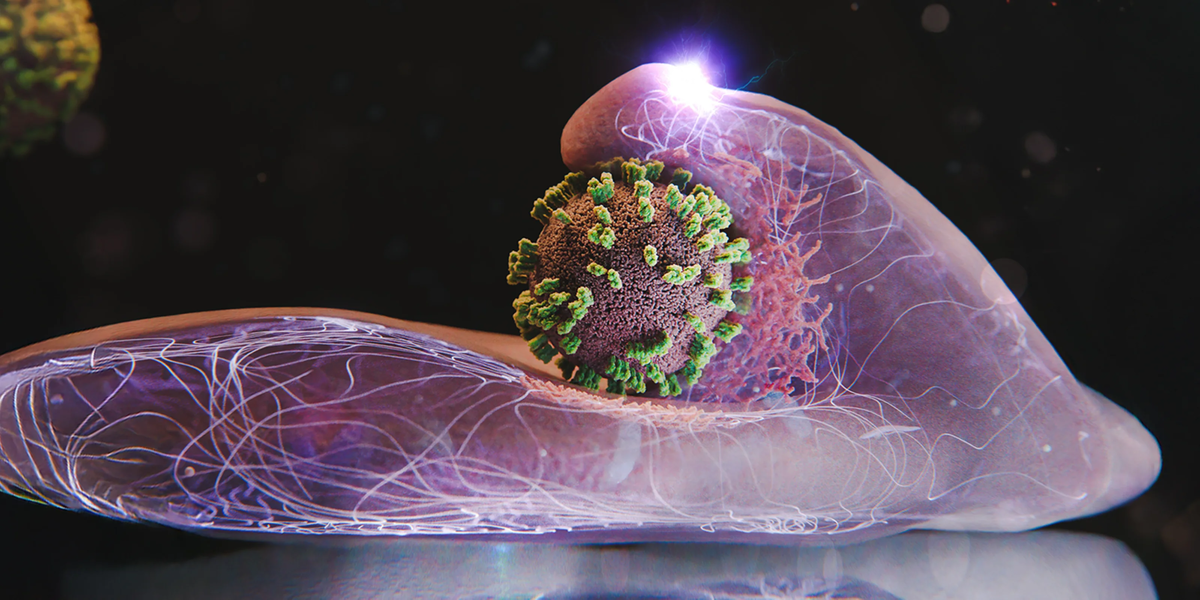 Источник: Швейцарская высшая техническая школа Цюриха