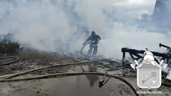 Фото: Леноблпожспас