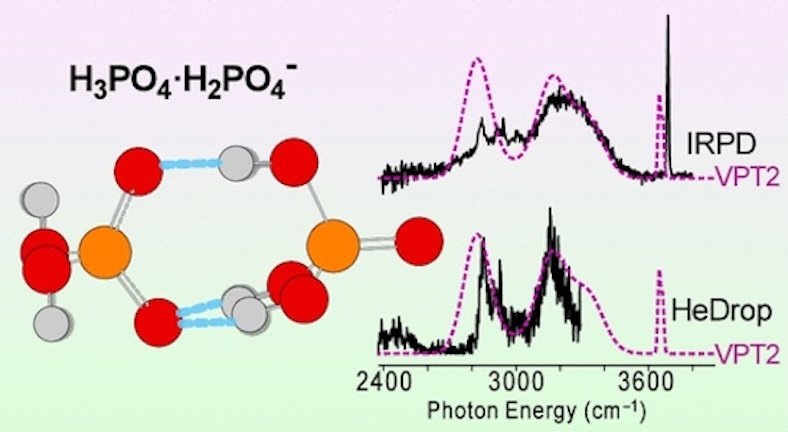    Протоны перемещаются в фосфатсодержащих материалах уникальным образом.