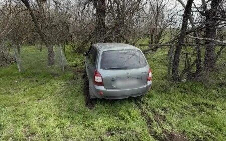    Фото: ГУ МВД России по РО