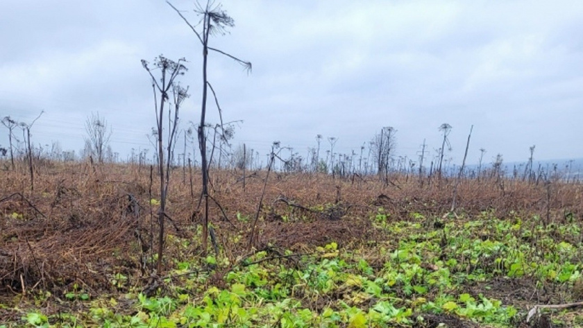    Фото: Прокуратура Владимирской области