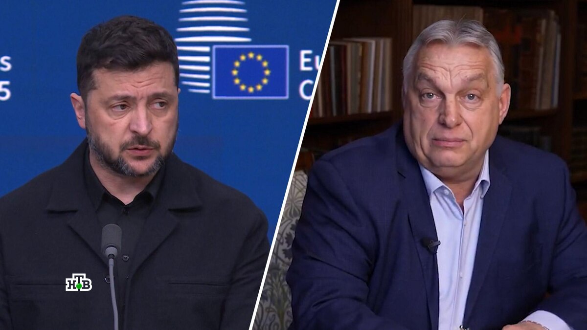    «Зеленский на грани отчаяния»: в Европе возмущены угрозами Киева в адрес Орбана