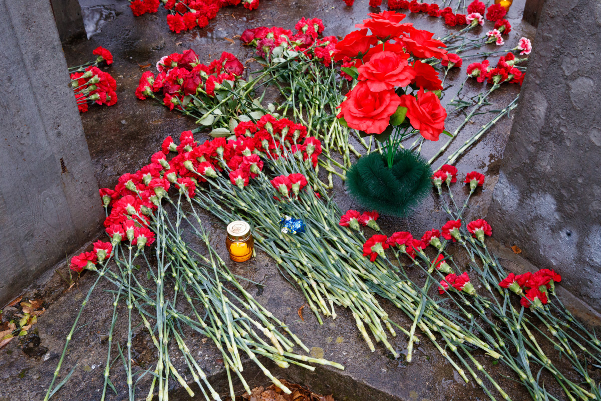    © Владимир Шалимов