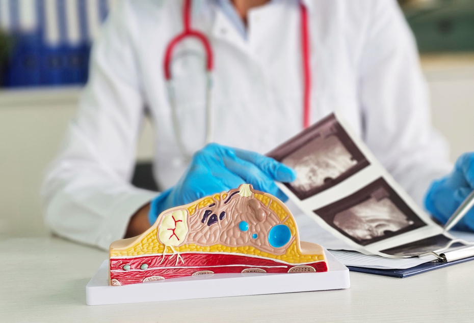    Shutterstock/FOTODOM