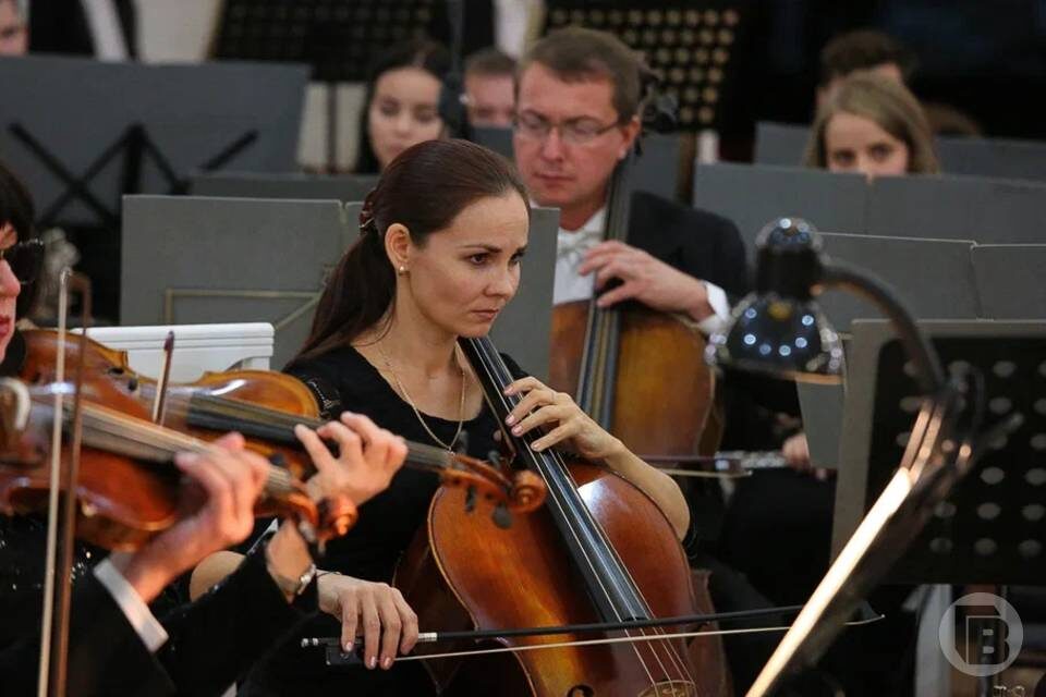    Фото: Дмитрий Рогулин / "Городские вести"