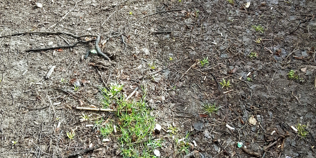 Распродажа.