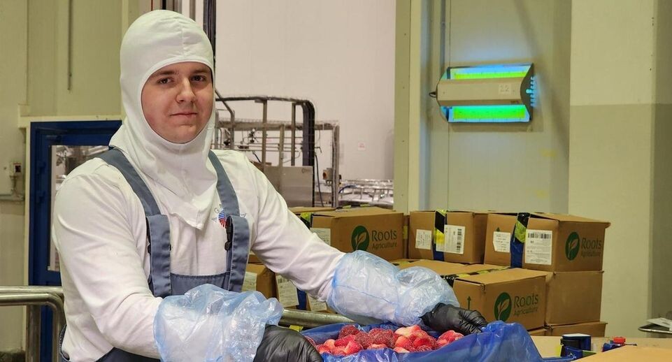    REGIONS/Анна Мороз